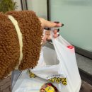 빛고을닭강정(산수점) | 산수동 닭강정 맛집 ‘빛고을닭강정’ 후기