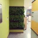 그린농업센터 이미지