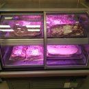 농협안전축산물전문점 이미지