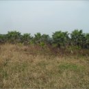 시흥리-3 이미지