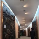 반디랜드 곤충박물관 전시실 이미지