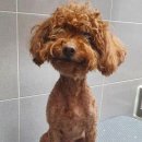 은마로동물병원 이미지