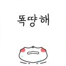 노을드림 펜션 이미지