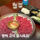 평택육회 | 평택 고덕 꽃시육회 육사시미 육회 맛집 내돈내산 후기