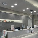 울산 강일웅고양이메디컬센터 이미지