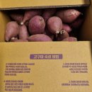 태기농장 이미지