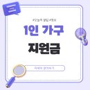 (주)신용에너지 | [2025 최신] 1인 가구 지원금 조건, 신청, 받는 법 - 월 40만 원 추가 수익 가능 (진짜 후기 공개)