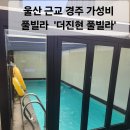 더진현풀빌라 | 경주 20만원대 가성비 풀빌라 추천 &#39;더진현풀빌라&#39; 미온수 무료이벤트, 애견동반입실 가능한곳