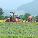 박지호농장 이미지