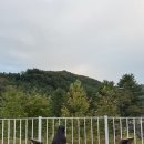 연화펜션 | 양평 독채 펜션 연화도감 잔디방 후기