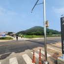 제26회 정기 트레킹 경기 안산 대부해솔길1코스 트레킹(2026. 4. 25.) 이미지