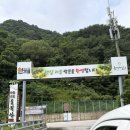 와포햇살 영농조합법인 | 강원도 인제 햇살마을 펜션 글램핑장ㅣ 트레킹과 천연족욕 가능한 햇살산림치유센터 추천