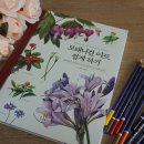 쉽게 배우는 꽃 그리기 이미지