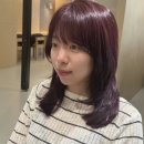 빛(나다)헤어 | 미용실 맛집도선(DOSUN) 설하실장 퍼스널 헤어 컨설팅 솔직후기(feat. 블랙커런트 염색 + 하이레이어드컷)