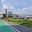 문화아파트 앞 횡단보도 이미지