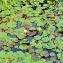 향기숲공원 이미지