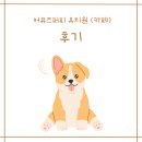 어뮤즈퍼피 | [천안]🐾어뮤즈퍼피🐾 애견유치원&amp;카페 우리집 삼남매 똥강아지 일주일 찐 후기 🐶