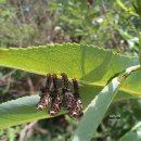 버드모아 이미지