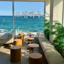 강릉 하우스 | [강원/강릉] 오션뷰 카페 추천ㅣ강릉 최애 카페 오핑하우스 내돈내산 후기