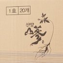 비선동 산삼 이미지