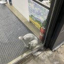 우리마트 문산점 | [파주] 문산 창고형 반품매장, 리퍼브샵 '어썸블랑' 직접 다녀온 솔직후기
