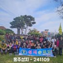홍주 Daum카페