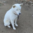 옥토상사 이미지