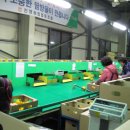 진영농협 APC 이미지