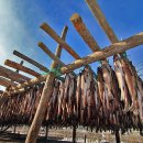 영덕목장 이미지