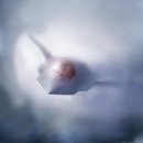 Re: F-47과 NGAP의 연도별 개발비 이미지