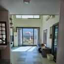 베일리애견풀빌라펜션 이미지