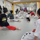 올림피아 태권도장 이미지