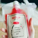 레인보우 씨드