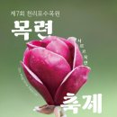 바다축제 | 태안여행 천리포수목원 목련축제 바다뷰 아이들과 후기