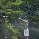 영화가든 이미지