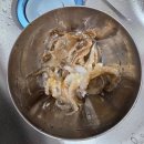 농수산물도매시장(수산공판장) | 안산 한대앞역 농수산물도매시장 독도수산 쭈꾸미 광어 구매후기