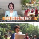 울산식 계곡 불법 평상 처리 방법 이미지