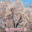 신장근린공원 주변 이미지