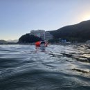 꽁지펜션 | 거제 썬비치 펜션, 와현해수욕장 애견 동반 바다뷰 &amp; 바비큐 후기