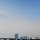 국가대표 이미지