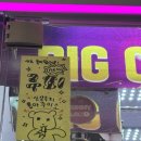 펫마트아라점