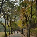 수덕사 야영장 이미지