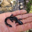 미르협동조합 | 생다진천 4월 미호강 습지 생태모니터링 후기