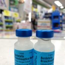 고은켄넬 이미지