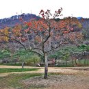 문경새재 도립공원 이미지