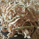 차만들기 이미지