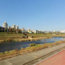 왕숙천공원 농구장옆 이미지