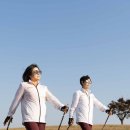 전신 걷기 운동 노르딕 워킹 이미지