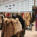 더 스타일 이미지