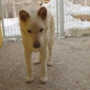 삼거리농장 이미지